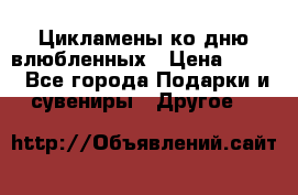 Цикламены ко дню влюбленных › Цена ­ 180 - Все города Подарки и сувениры » Другое   
